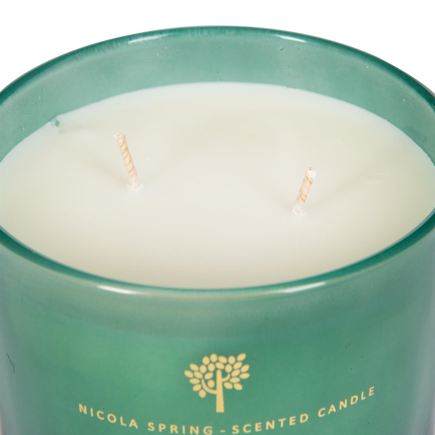 350g Double Wick Sage & Seasalt Wax Candle Nicola Spring
