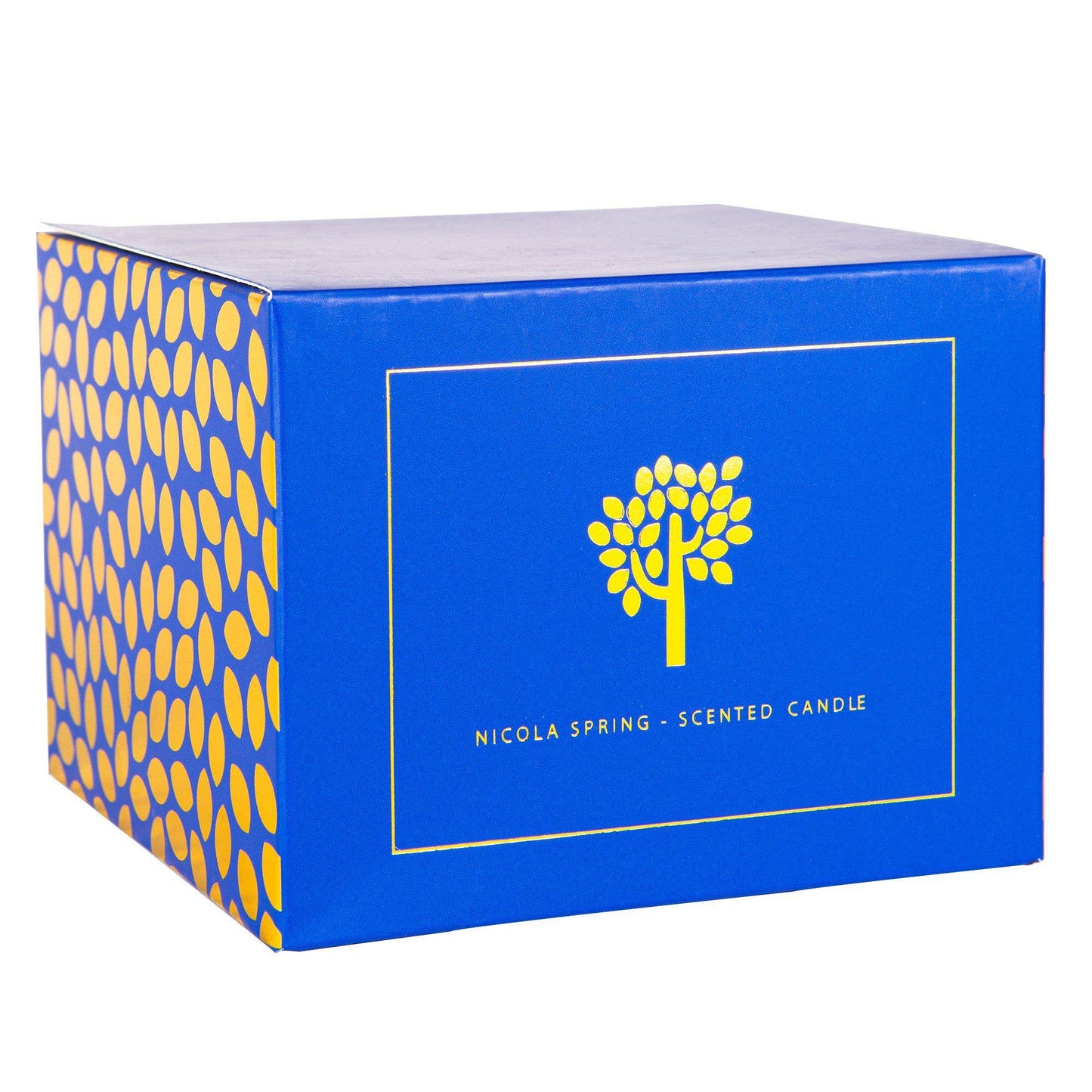 350g Double Wick Sage & Seasalt Wax Candle Nicola Spring