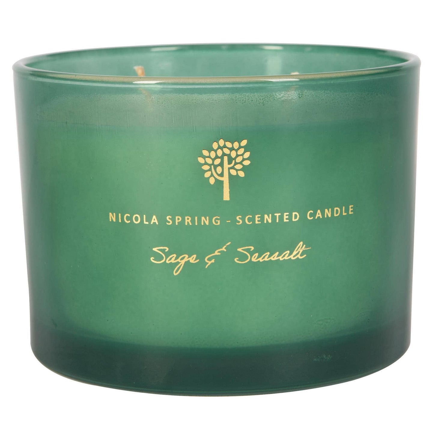 350g Double Wick Sage & Seasalt Wax Candle Nicola Spring