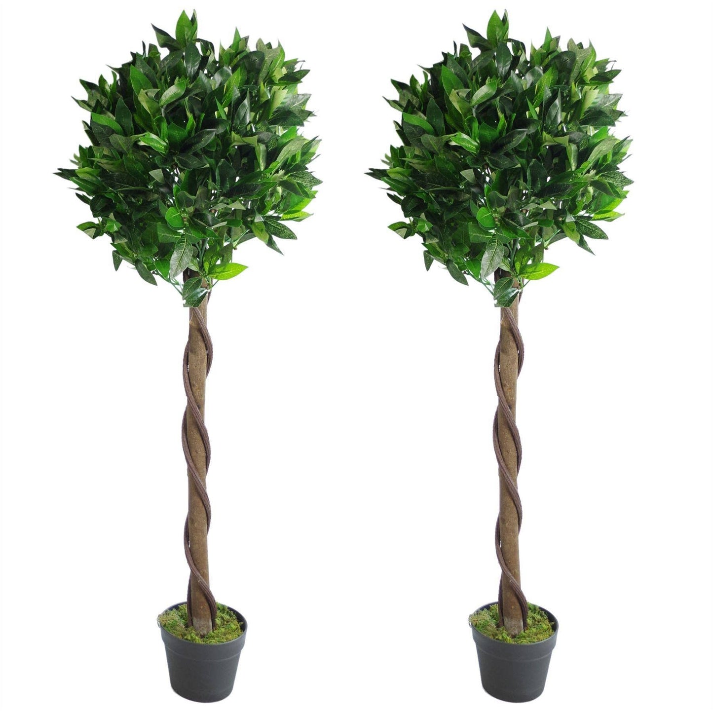 Artificial Topiary Bay Pair Twisted Laurel Trees 120cm