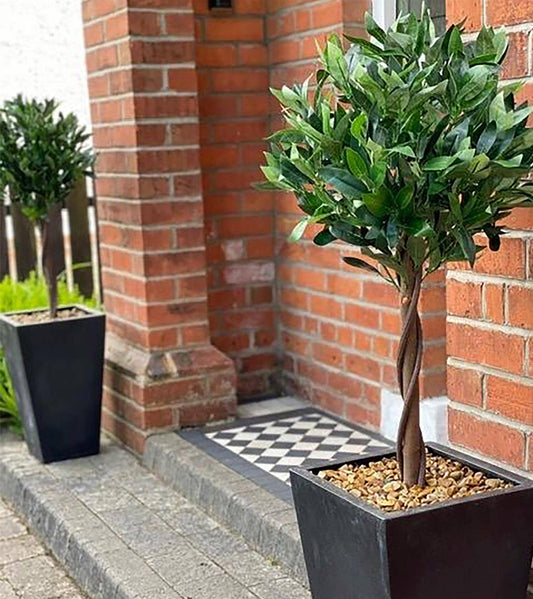 Artificial Topiary Bay Pair Twisted Laurel Trees 120cm